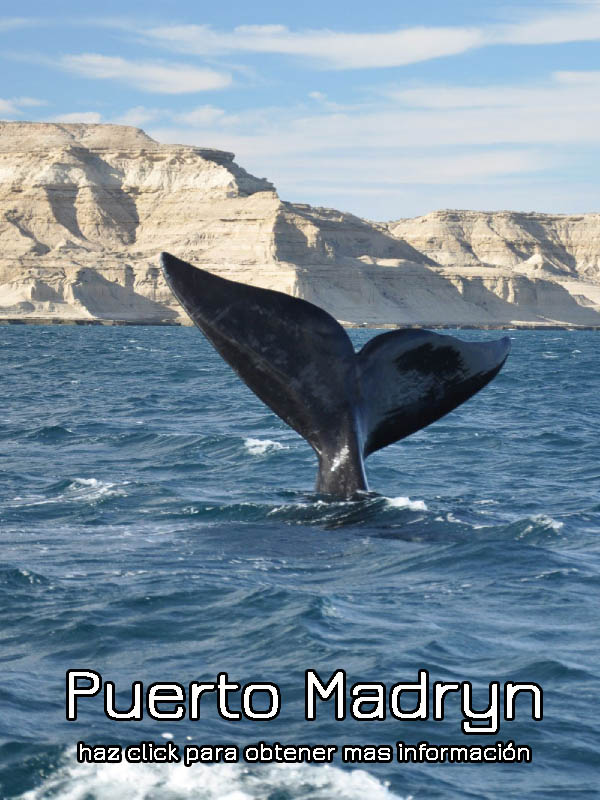 Imagen Puerto Madryn
