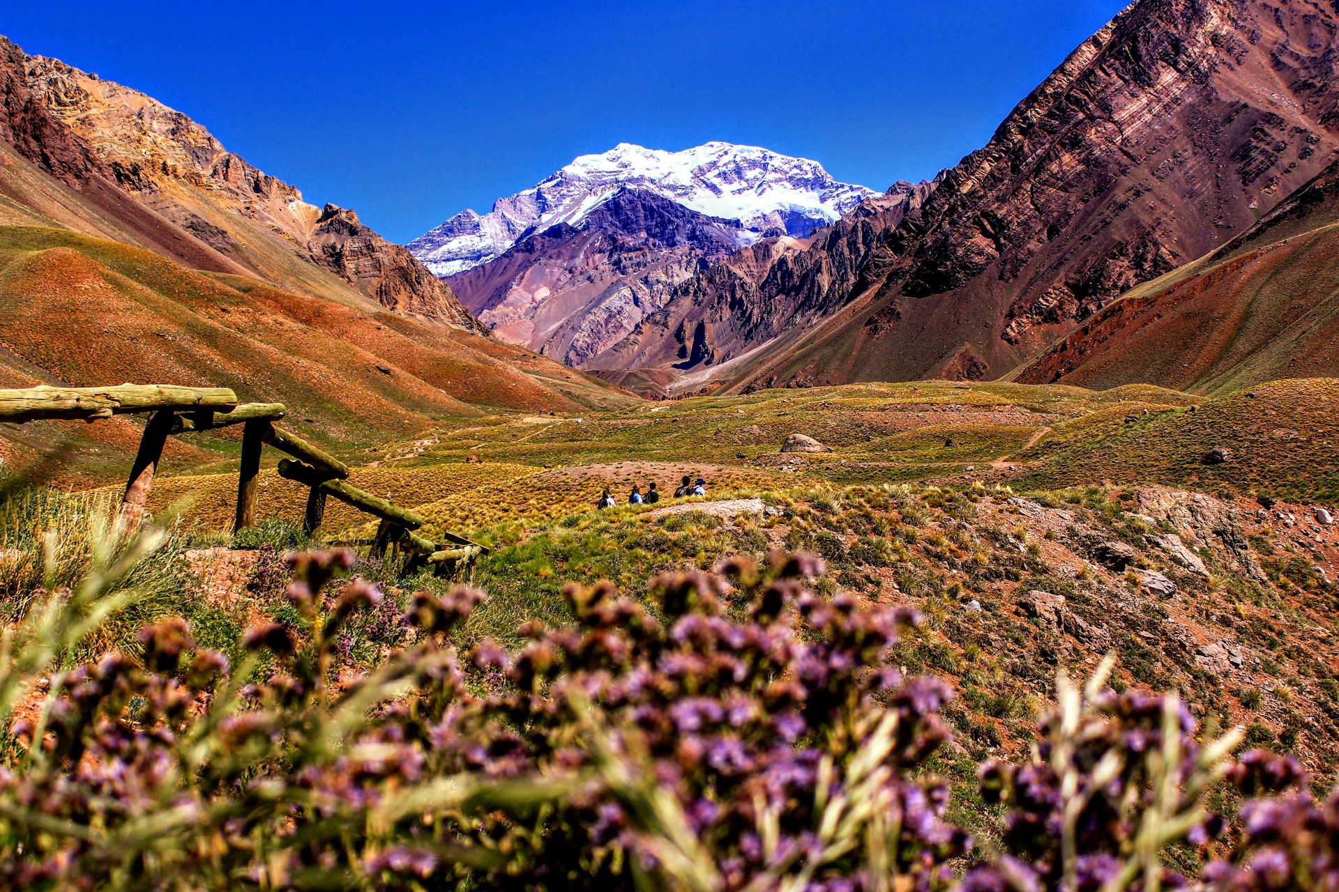 Imagen de Mendoza