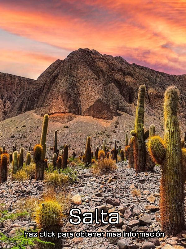 Imagen Salta